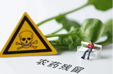 如何檢測農(nóng)藥殘留超標？了解農(nóng)藥超標殘留檢測的樣品采集
