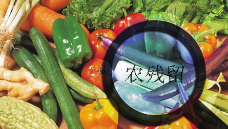 農(nóng)藥殘留檢測儀結(jié)果無法上傳是什么原因？農(nóng)藥殘留檢測儀的故障排除方法