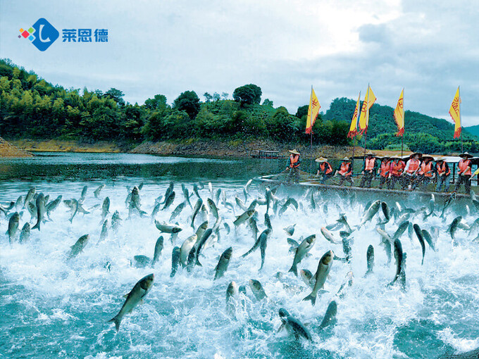 養(yǎng)殖水產(chǎn)氯霉素超標怎么測 快檢設(shè)備哪個牌子好
